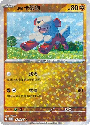 Pokemon Gem Vol. 5 Collection