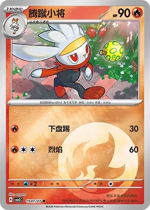 Pokemon Gem Vol. 5 Collection